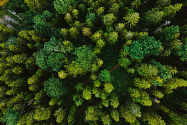 governance-per-la-natura