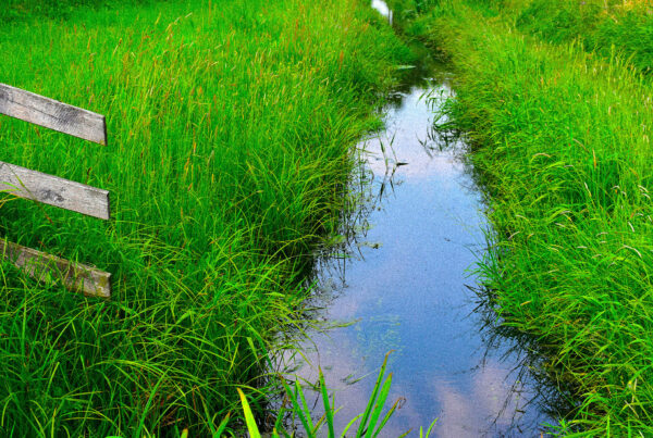 servizio-di-lavaggio-waterless
