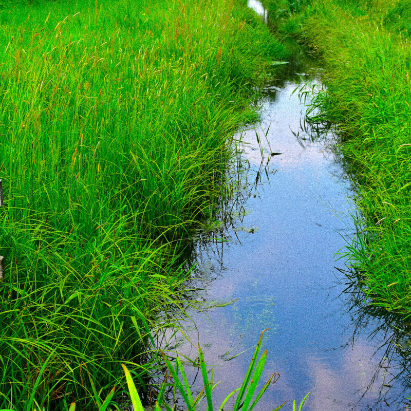 servizio-di-lavaggio-waterless