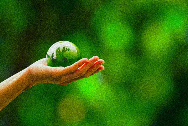 carbon-footprint-organizzazione
