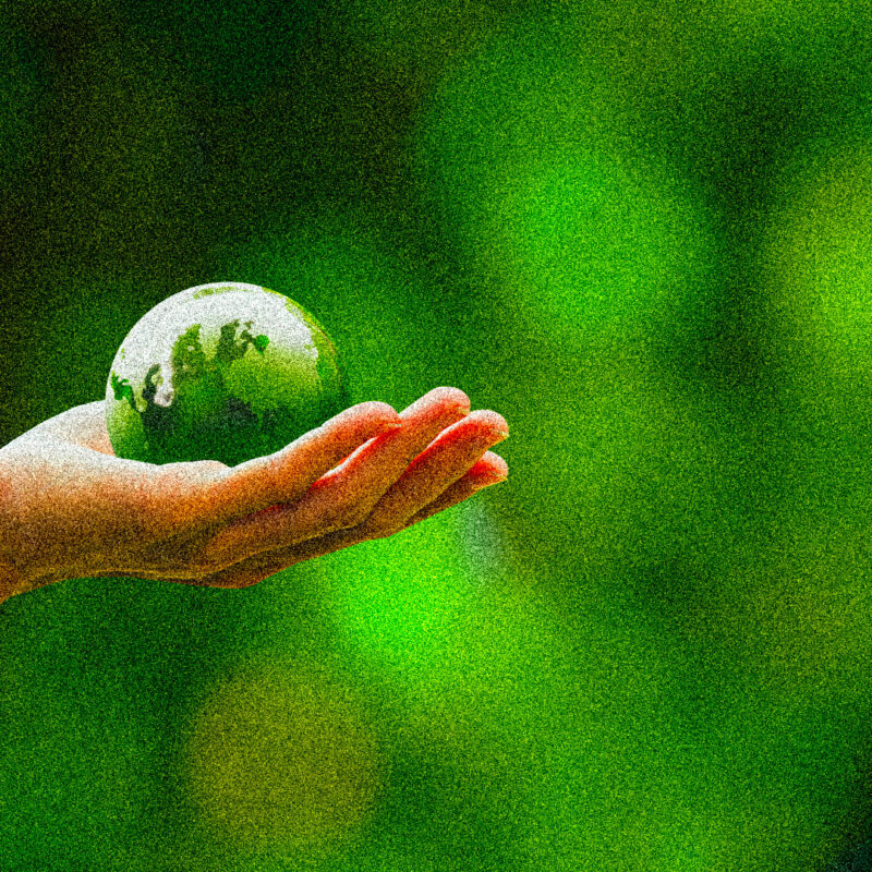 carbon-footprint-organizzazione