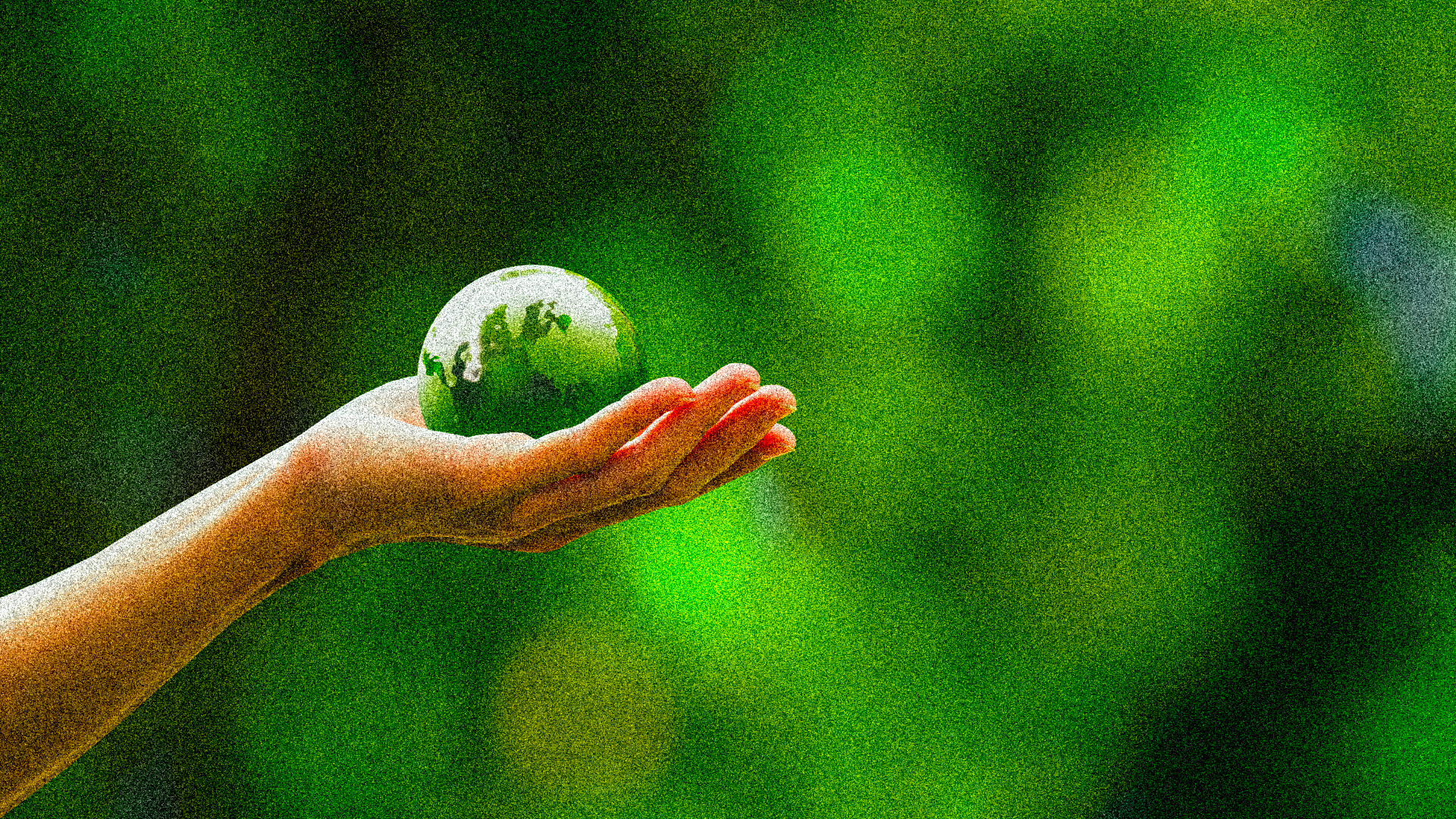 Carbon Footprint di Organizzazione: Misura e Riduci le Emissioni