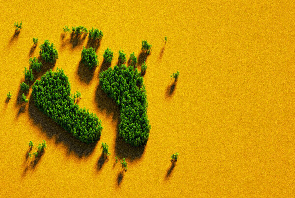 carbon-footprint-prodotto-servizio