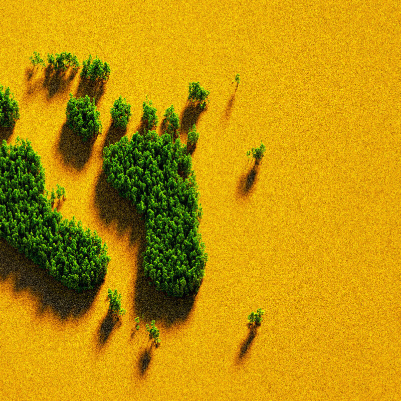 carbon-footprint-prodotto-servizio