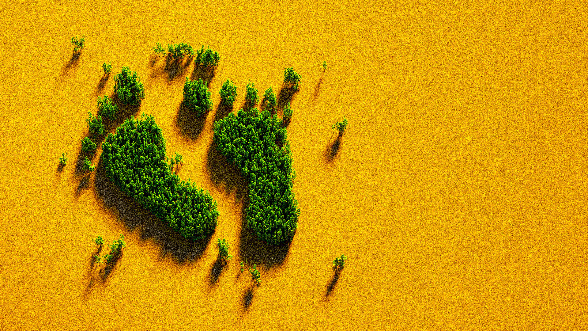 Carbon Footprint di Prodotto o Servizio: Misura e Riduci le Emissioni