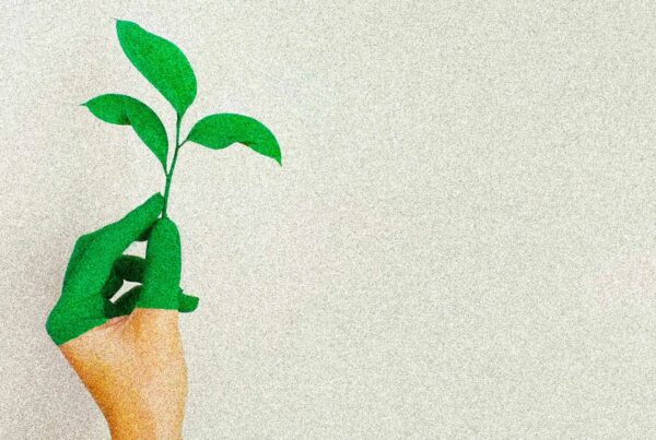 sostenibilita-investitori-imprese-verdi
