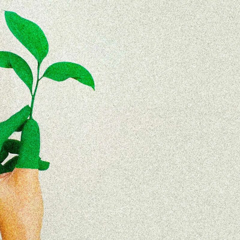 sostenibilita-investitori-imprese-verdi