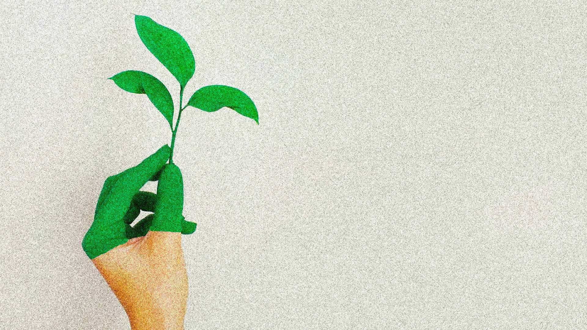 Sostenibilità, il 70% degli investitori finanzierà solo imprese verdi