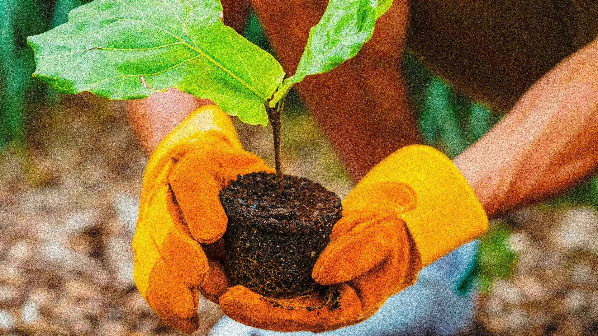 Reati ambientali: in GU UE la Direttiva sulla tutela penale dell’ambiente